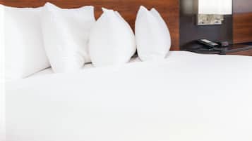 Standard Single Room, 1 Queen Bed