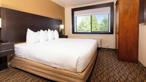 Una habitación de hotel con una cama grande, una mesita de noche, una lámpara, un ventanal con vistas a árboles y una alfombra estampada.