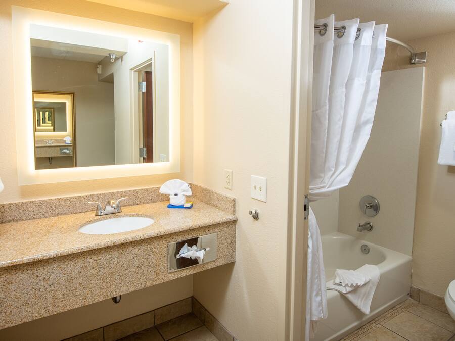 Une salle de bain avec un lavabo, un miroir et une douche.