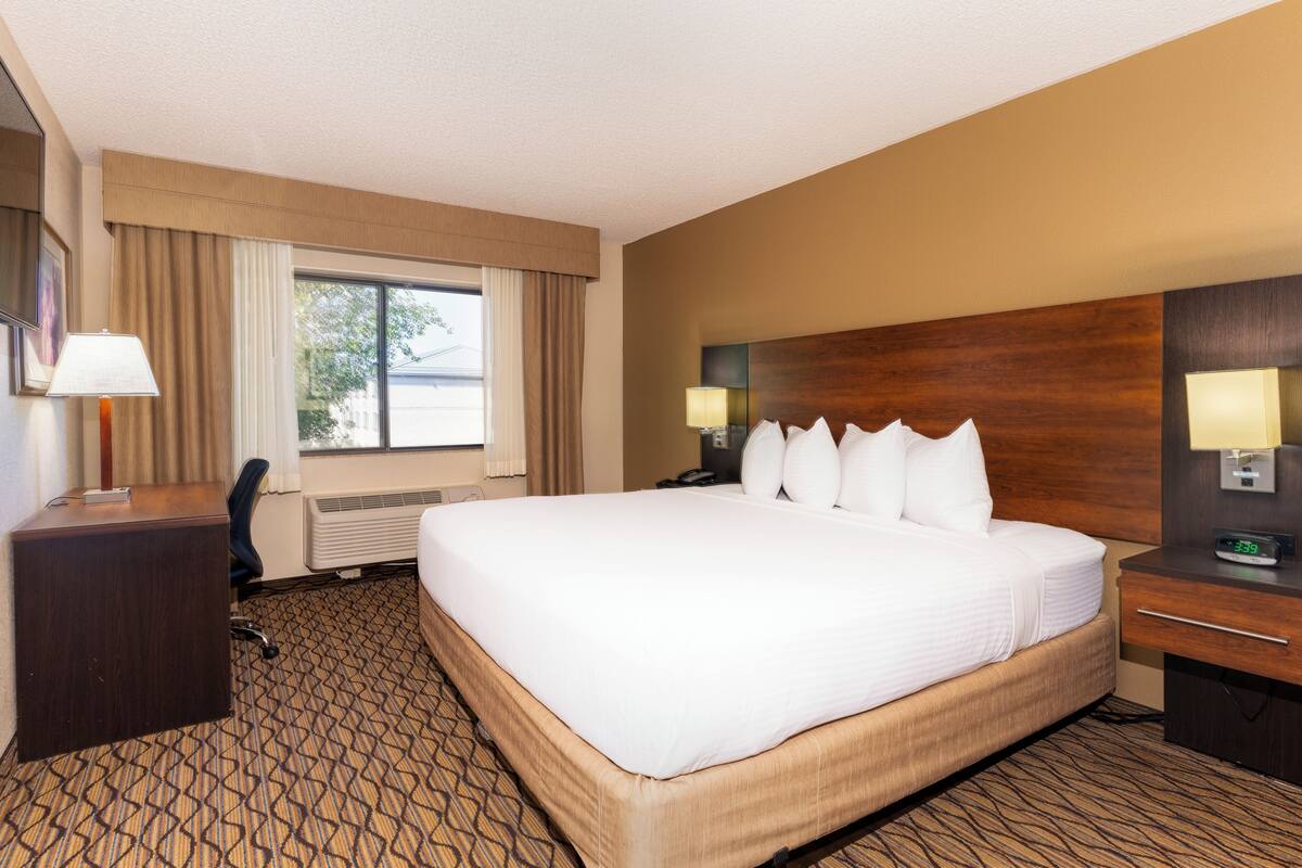 Une chambre d’hôtel avec un grand lit, un bureau, une chaise, une table de chevet, une lampe et une fenêtre avec des rideaux.