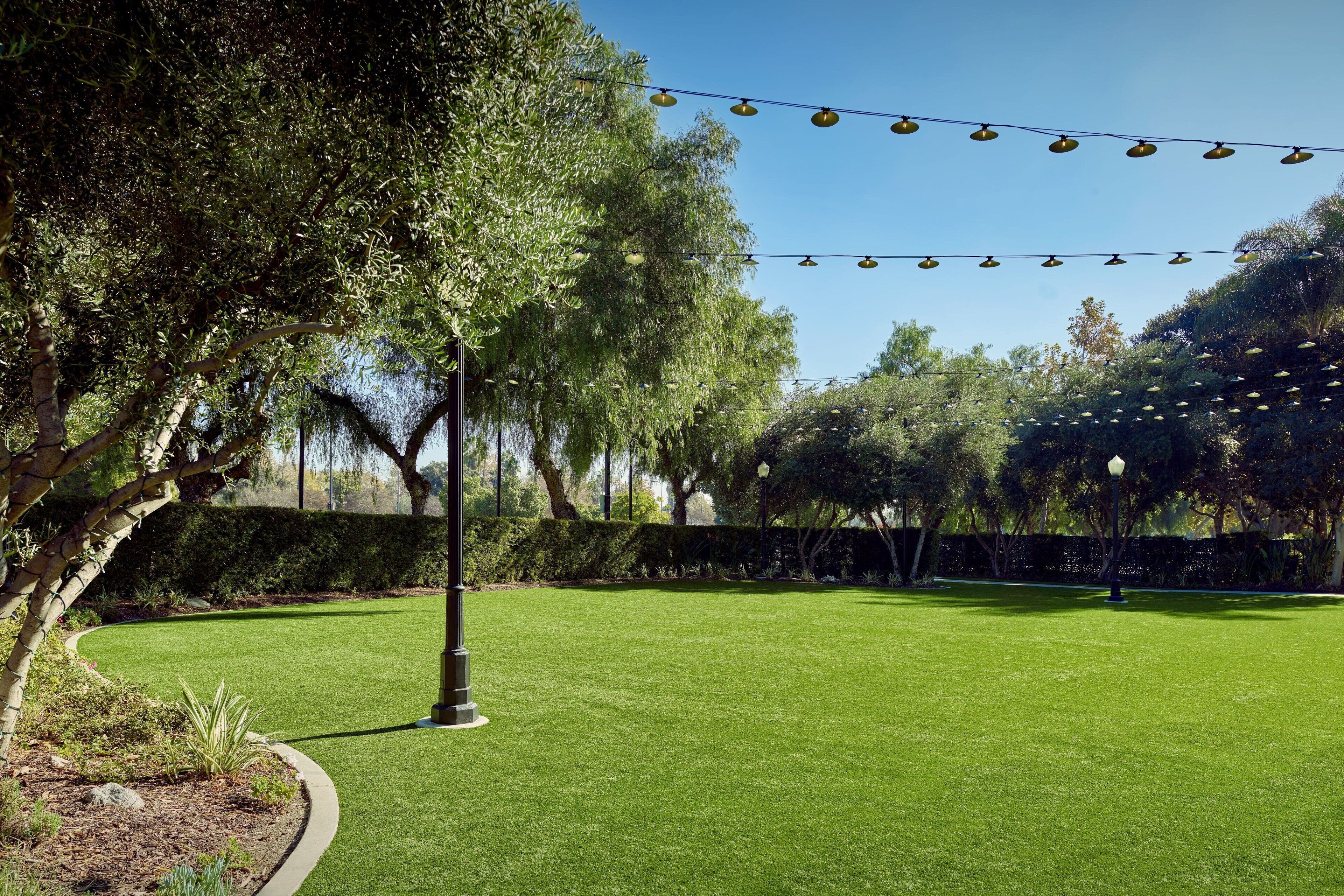 A well-maintained lawn with a curved pathway, trees, and string lights.