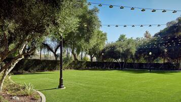 A well-maintained lawn with a curved pathway, trees, and string lights.
