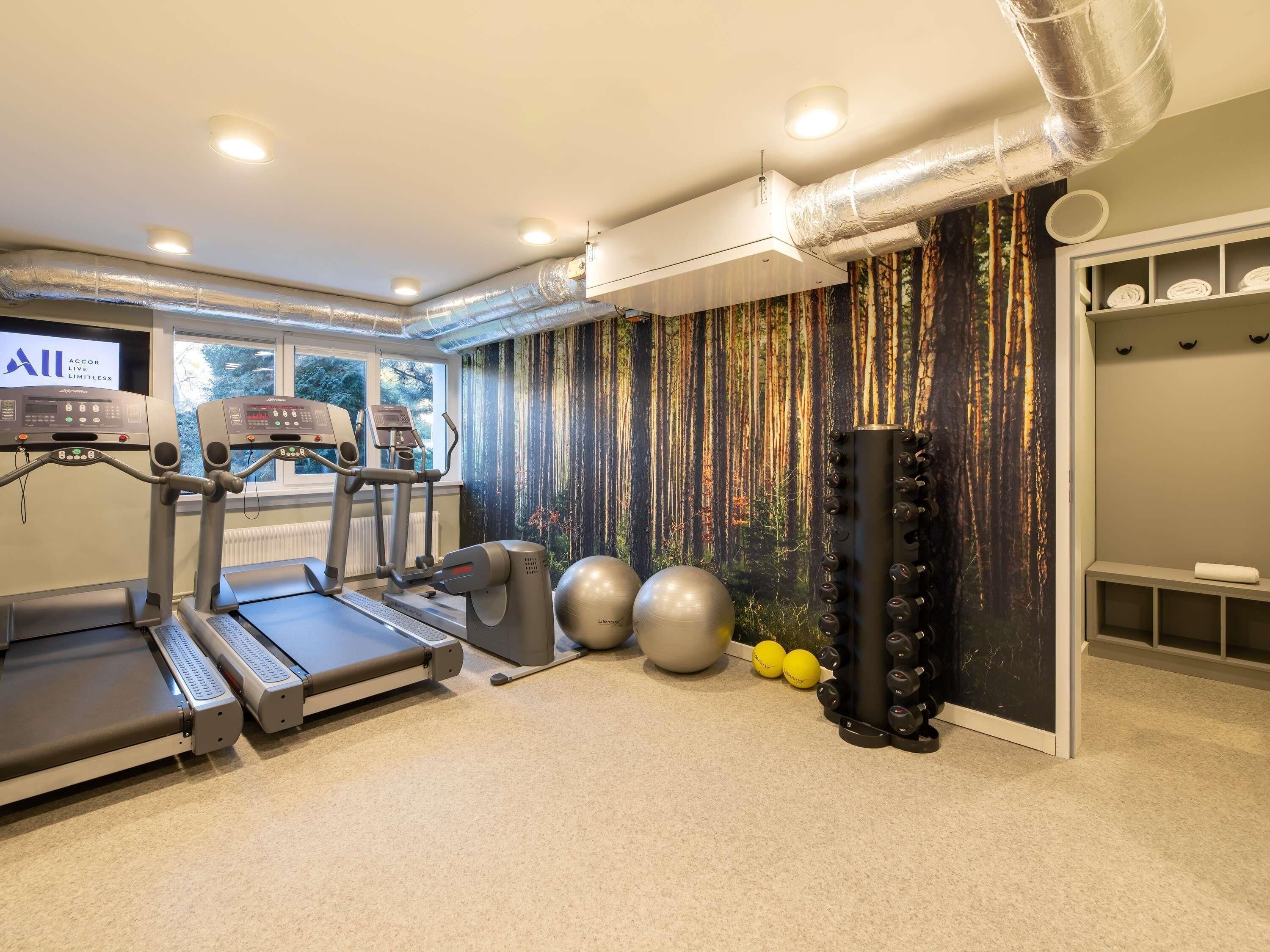 Un gimnasio en casa con cintas de correr, una máquina elíptica, una bicicleta estática y un saco de boxeo.