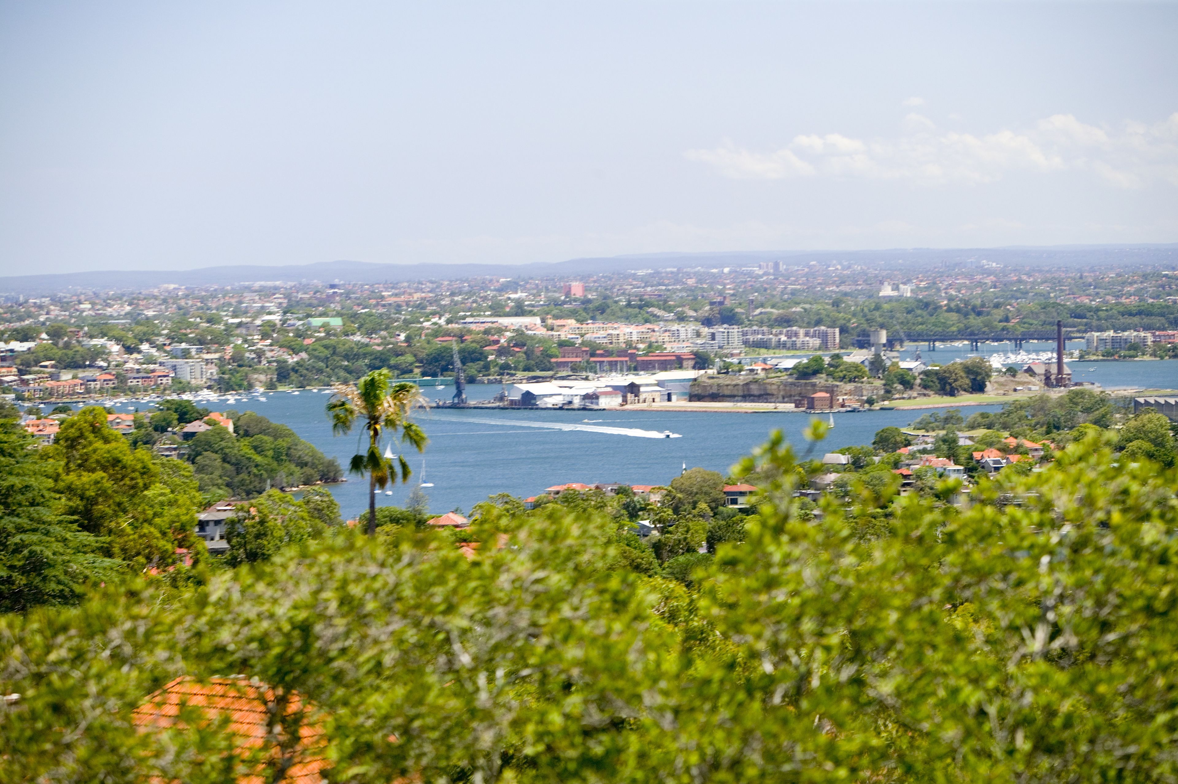 urban sweet room | view from room