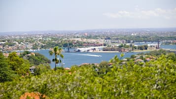 Urban Sweet Room | View from room