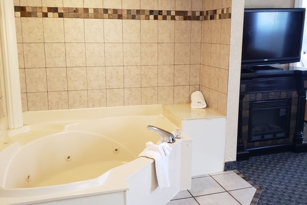 Combined shower/tub, free toiletries, hair dryer, towels