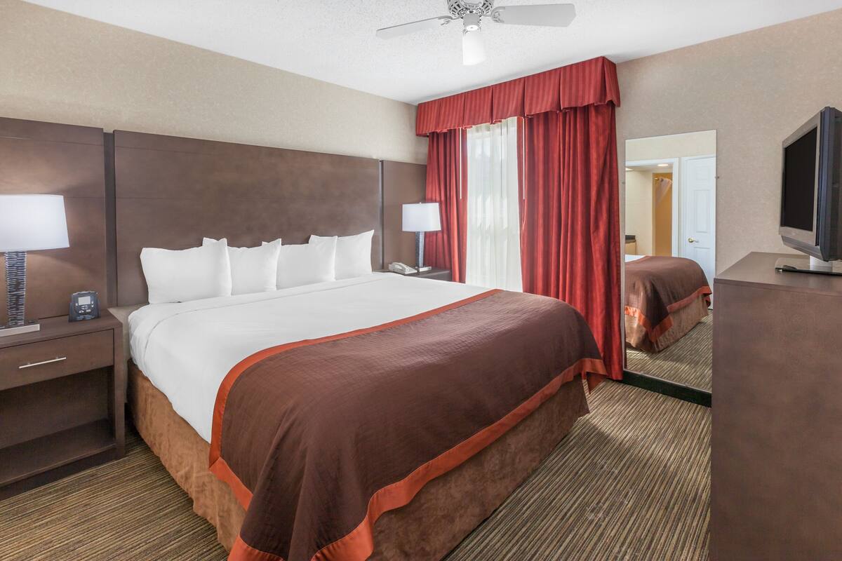A hotel room with a large bed, a nightstand with a lamp, a TV, and a ceiling fan.