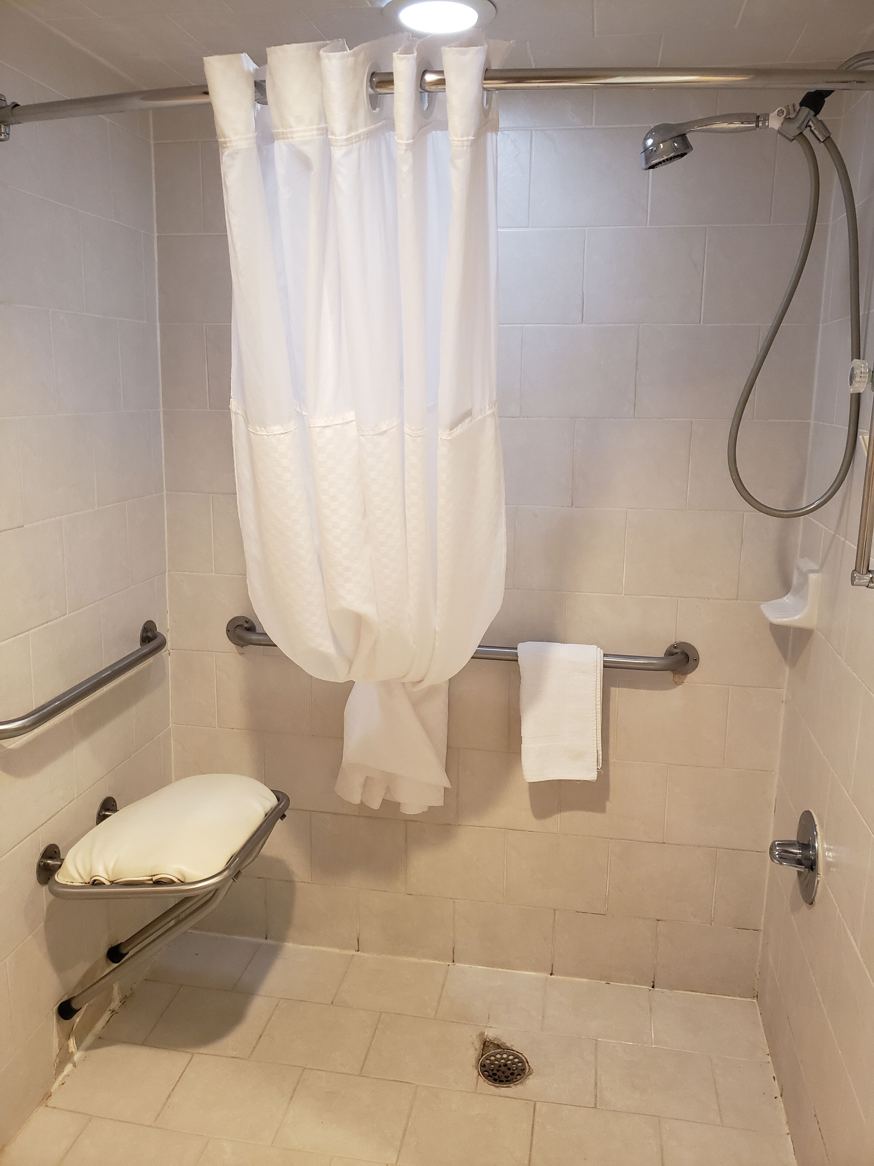 A bathroom with a shower, a toilet, and a grab bar.