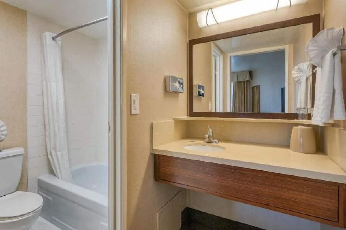 Baño | Amenidades de baño ecológicas, secadora de cabello, toallas, jabón