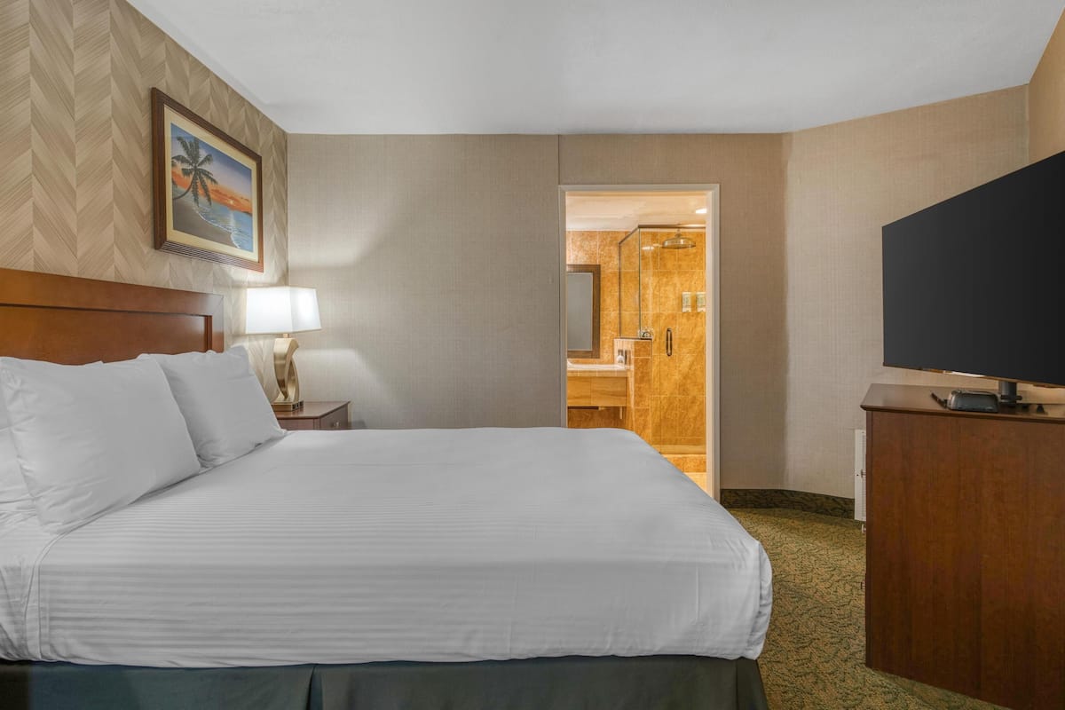 Suite, 1 Queen Bed, Non Smoking, Jetted Tub (with Sofabed) | In-room safe, desk, blackout drapes, iron/ironing board