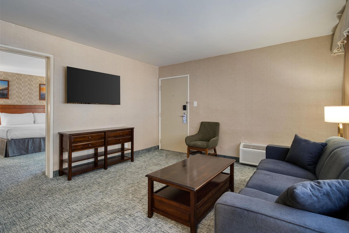 Suite, 1 King Bed, Non Smoking, Refrigerator & Microwave (with Sofabed) | In-room safe, desk, blackout drapes, iron/ironing board