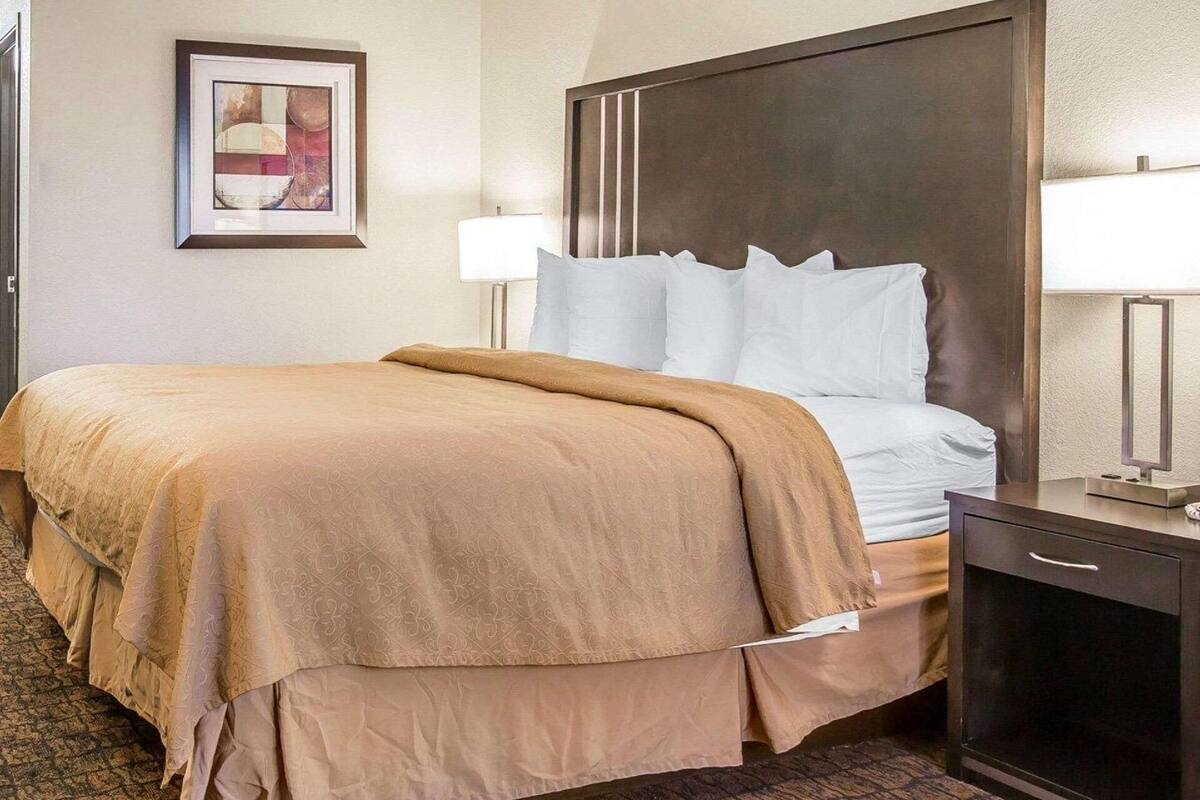 A hotel room with a large bed, a nightstand, a lamp, a framed picture on the wall, and a carpeted floor.