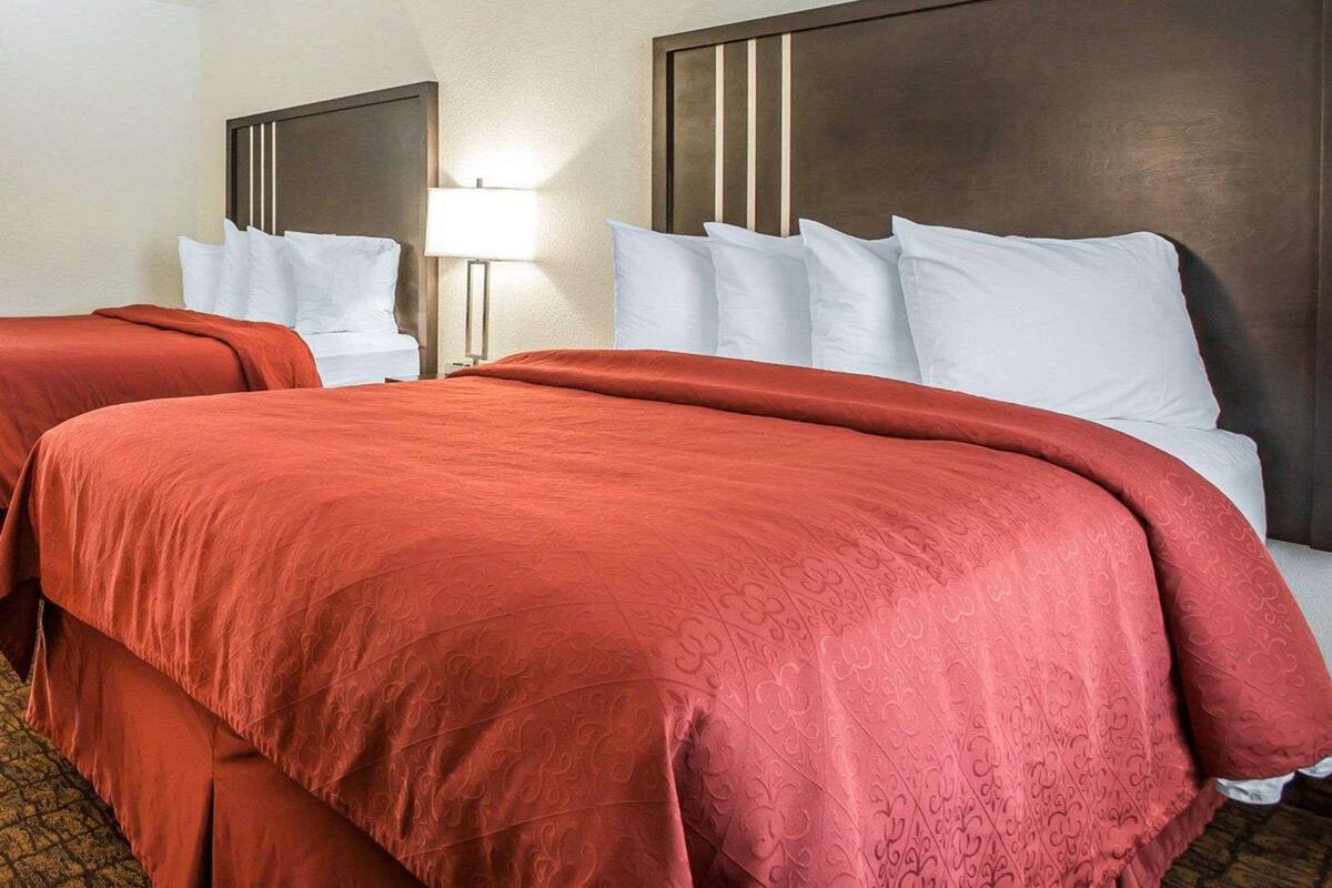 A hotel room with two beds, each with white pillows and a red bedspread. There is a nightstand with a lamp between the beds.