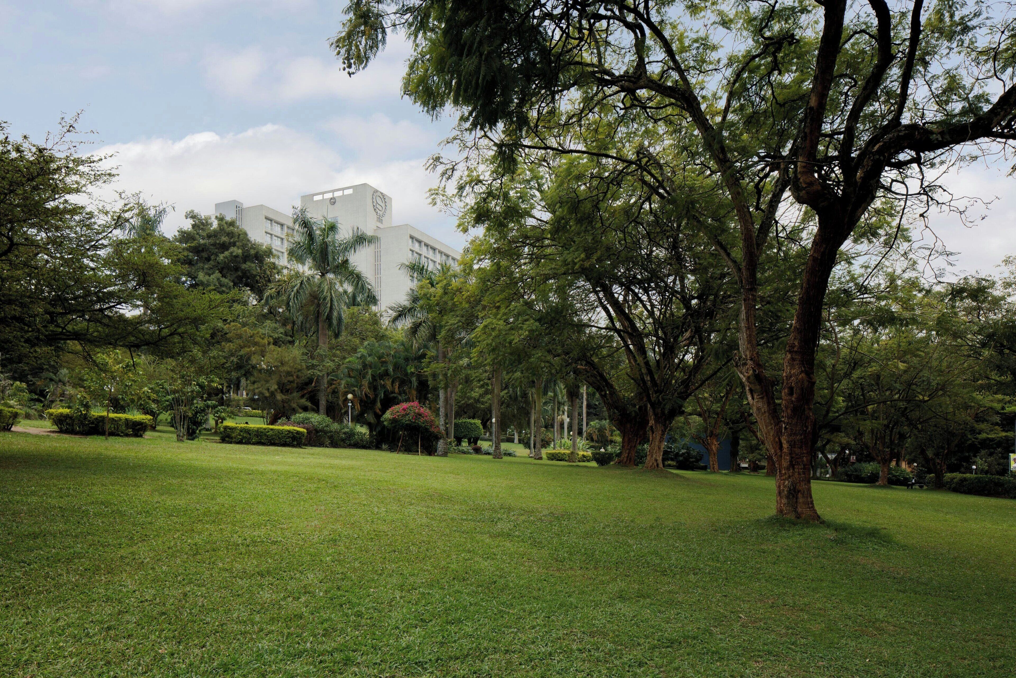 A park with trees and a building in the background.