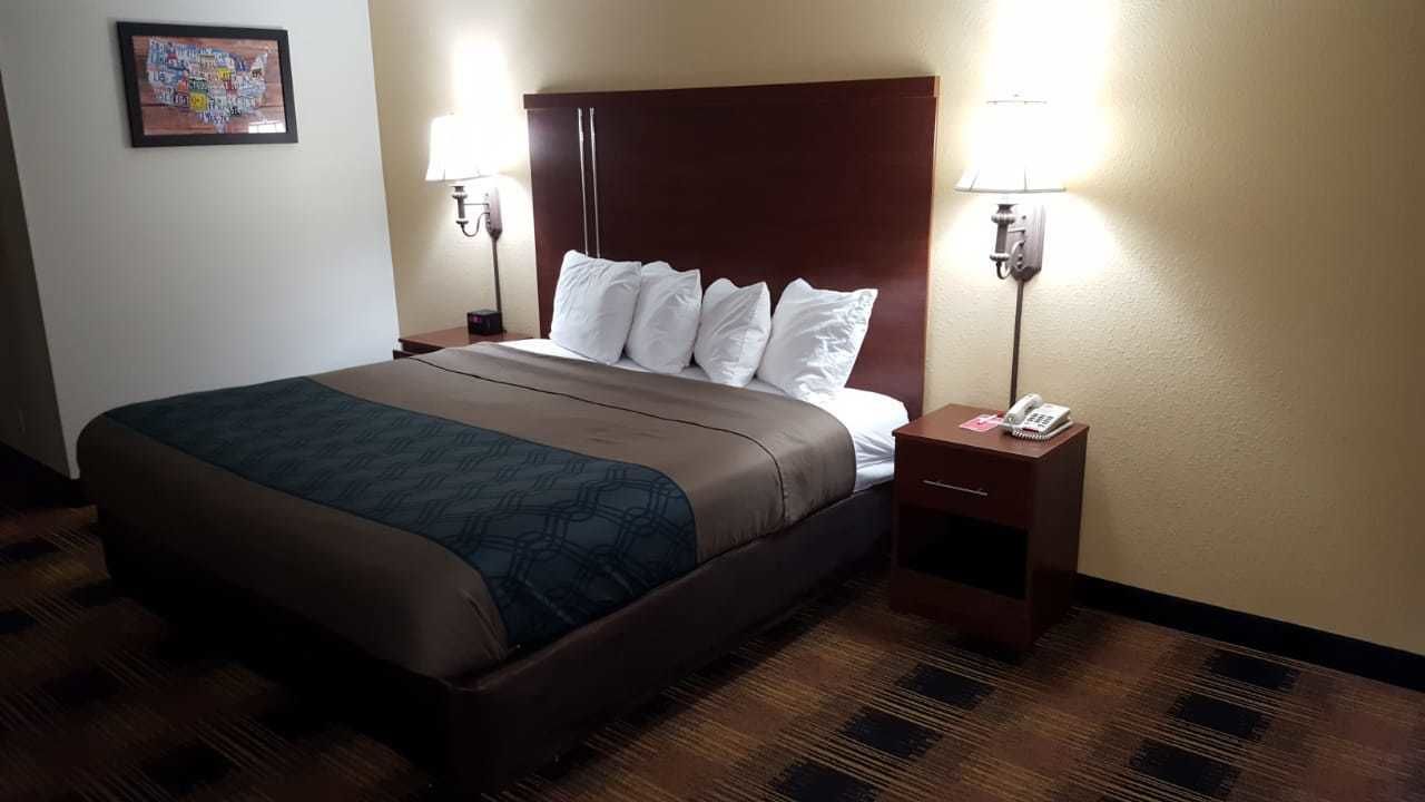 Habitación de hotel con una cama grande, dos mesitas de noche, una lámpara y un teléfono sobre una de ellas.