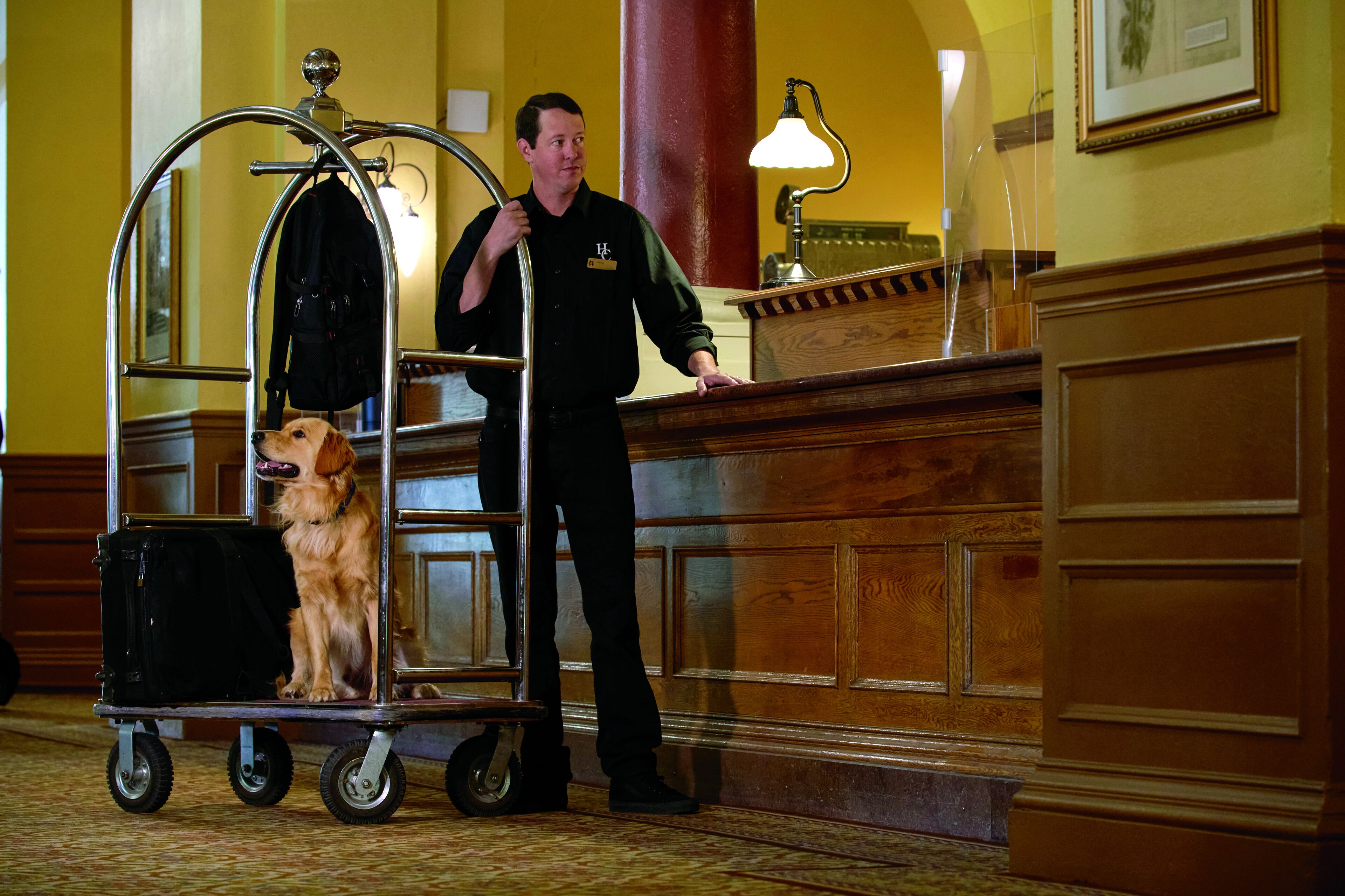 Una hall d'albergo con una reception in legno, un carrello metallico con un cane, e una persona accanto.
