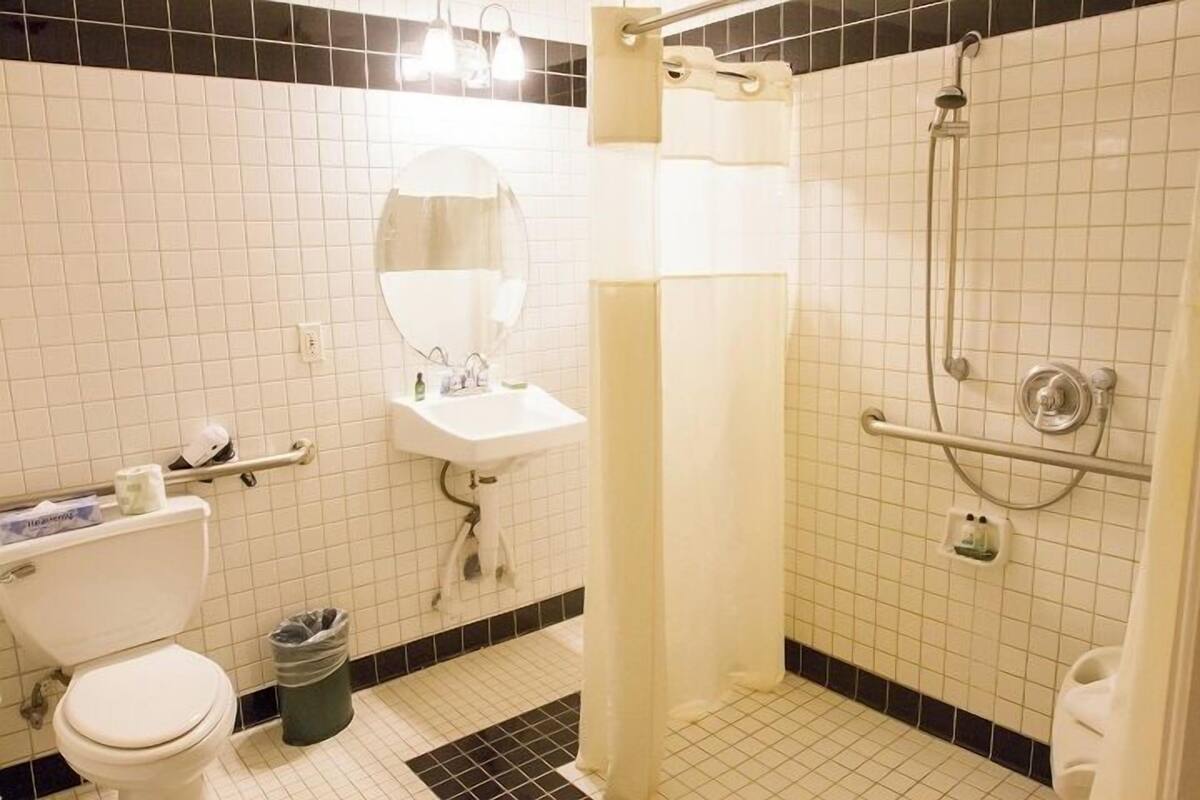 A bathroom with a toilet, sink, mirror, shower, and grab bars.