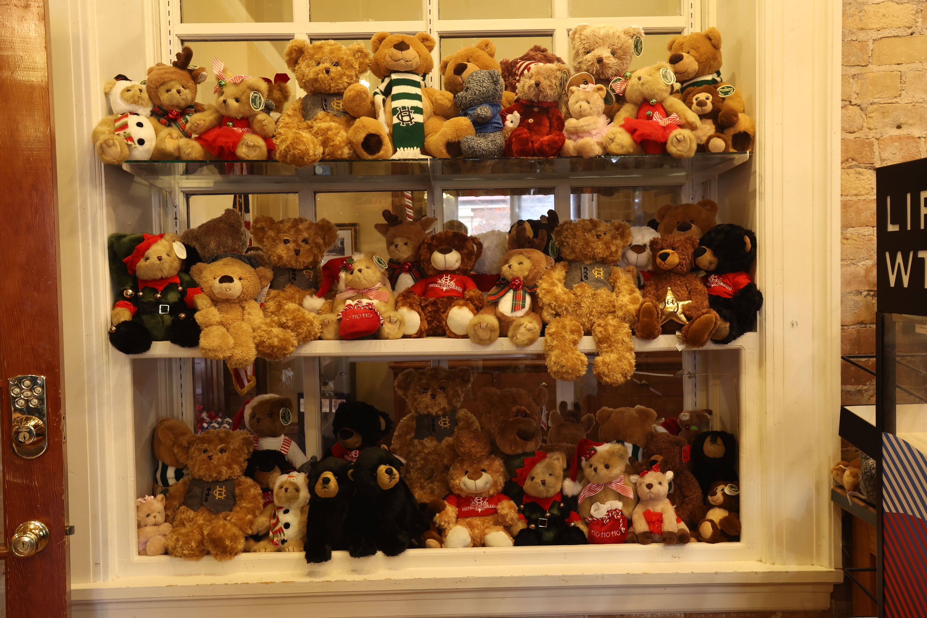 A display of various teddy bears in a window, arranged on multiple shelves.