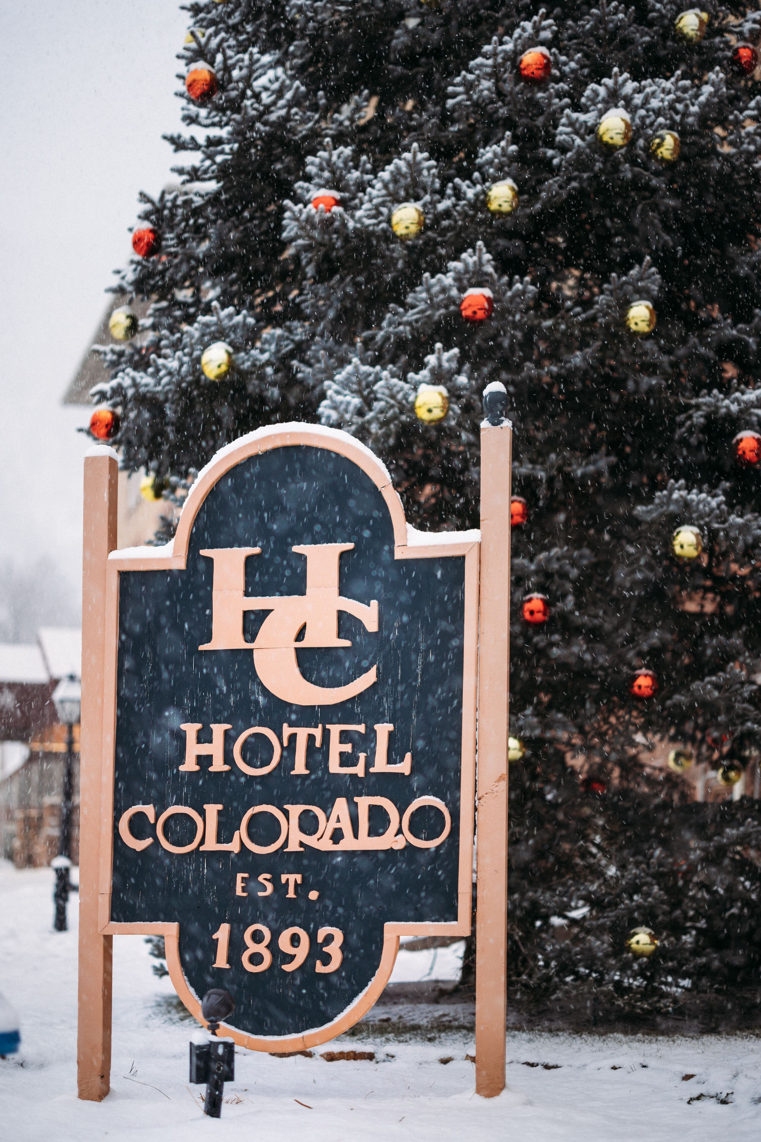 Señal de Hotel Colorado con un árbol cubierto de nieve al fondo.