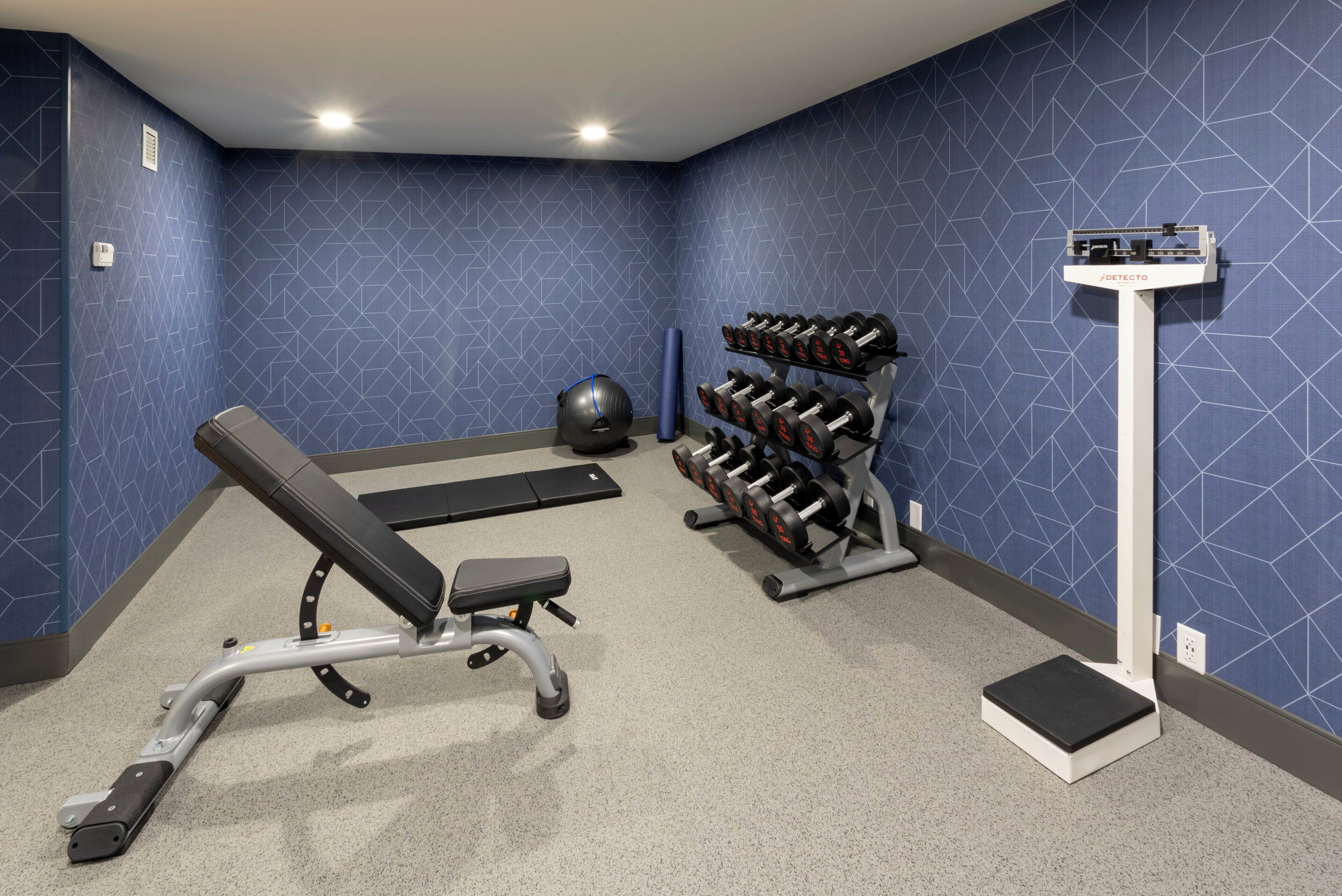Ein Fitnessraum mit einer Bank, Kurzhanteln, einem Medizinball und einer Waage.