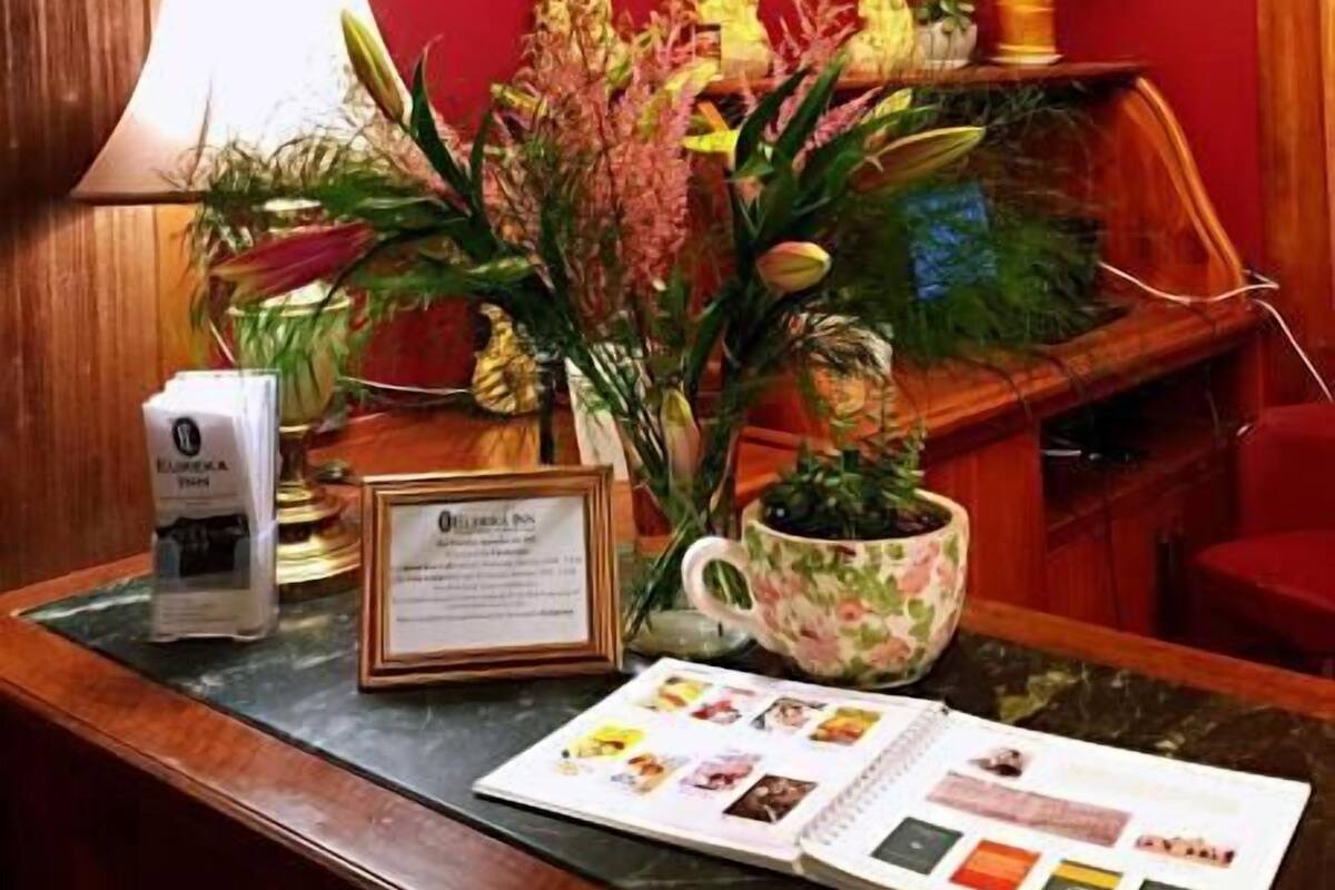 A reception desk with a framed certificate, a lamp, a potted plant, and a brochure.