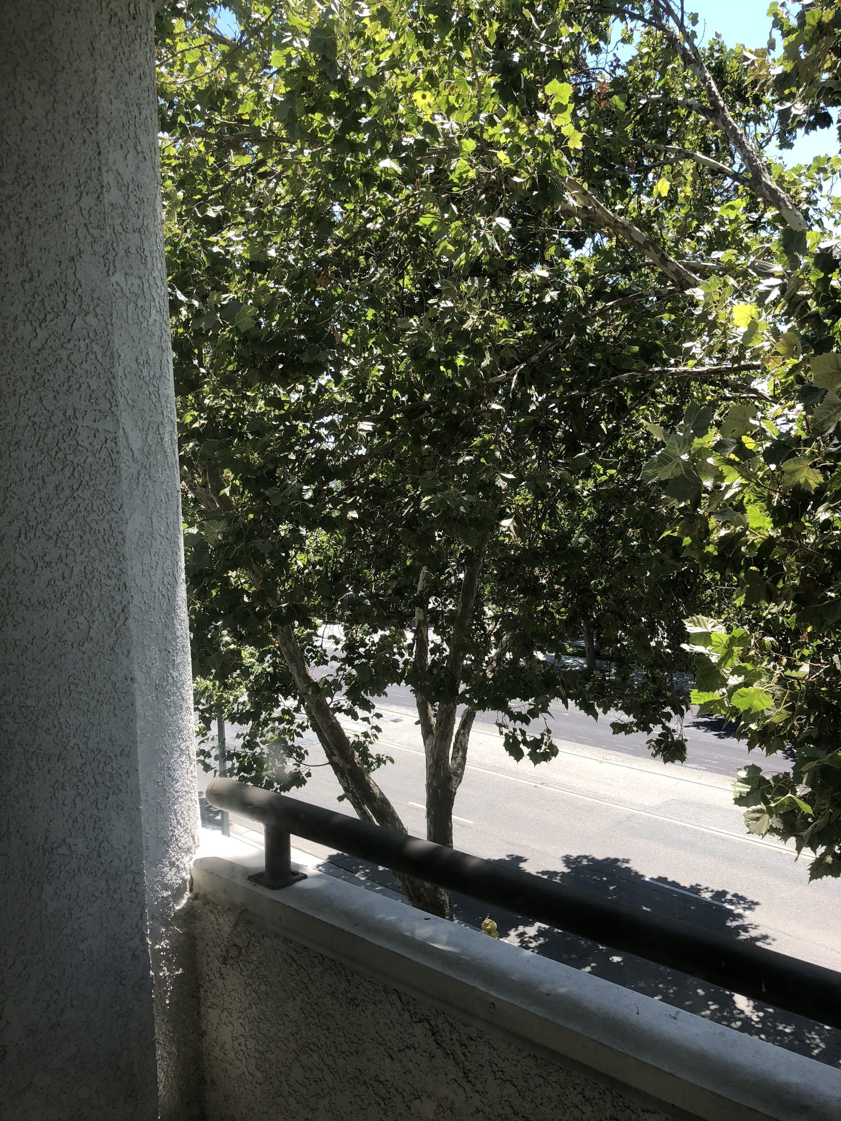 施設からの眺望