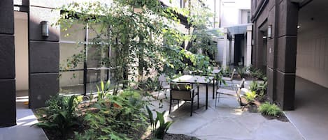 Terras
