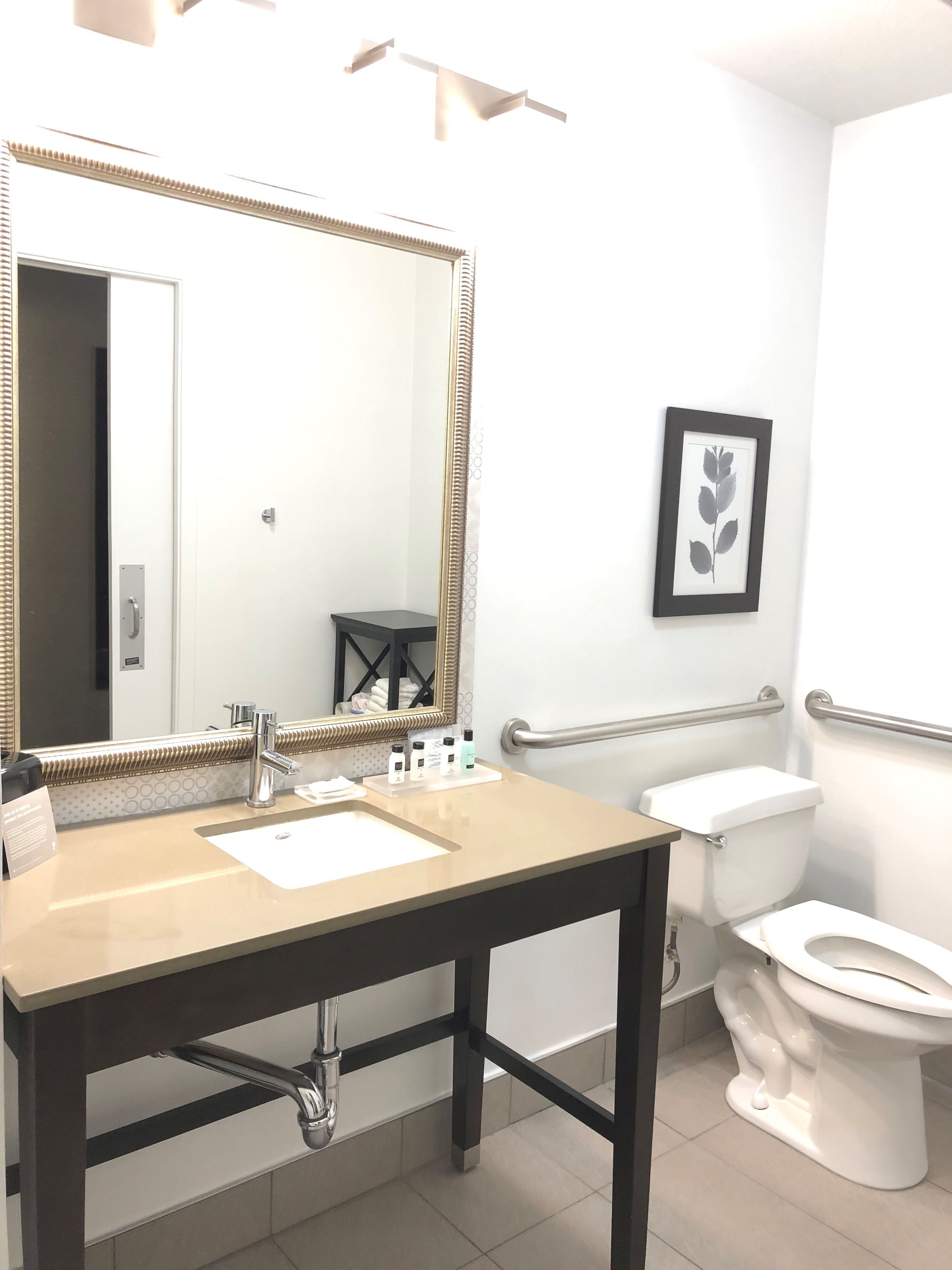 A modern bathroom with a large mirror, dual sinks, a toilet, and a framed plant.