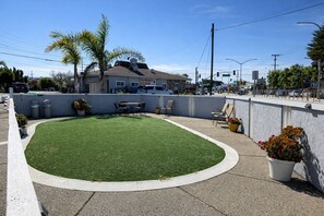 Pet-friendly amenities - Pacific Inn (Monterey)