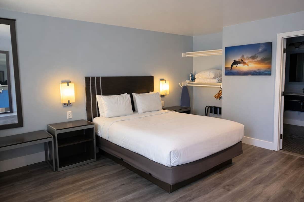 Chambre, 1 grand lit, douche accessible en fauteuil roulant | Literie de qualité supérieure, bureau, fer et planche à repasser