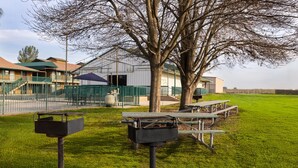 Un césped con mesas de picnic y una parrilla, un edificio con techo verde, y un árbol en primer plano.