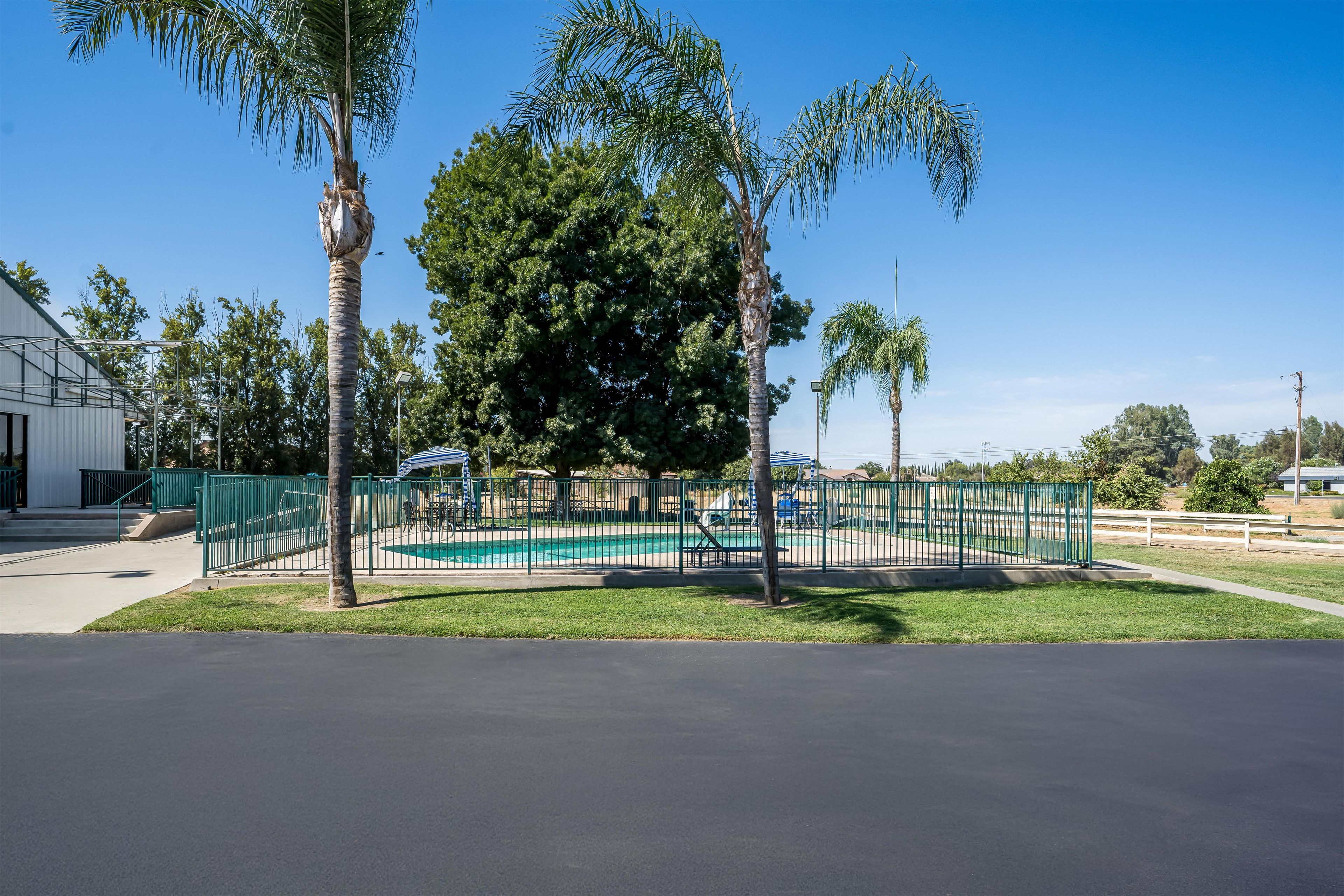 A fenced outdoor area with a pool, palm trees, and a building in the background.