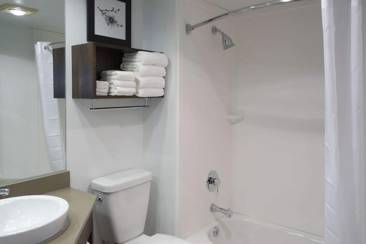 room, 1 king bed, non smoking | 1 bedroom, hypo-allergenic bedding, desk, iron/ironing board