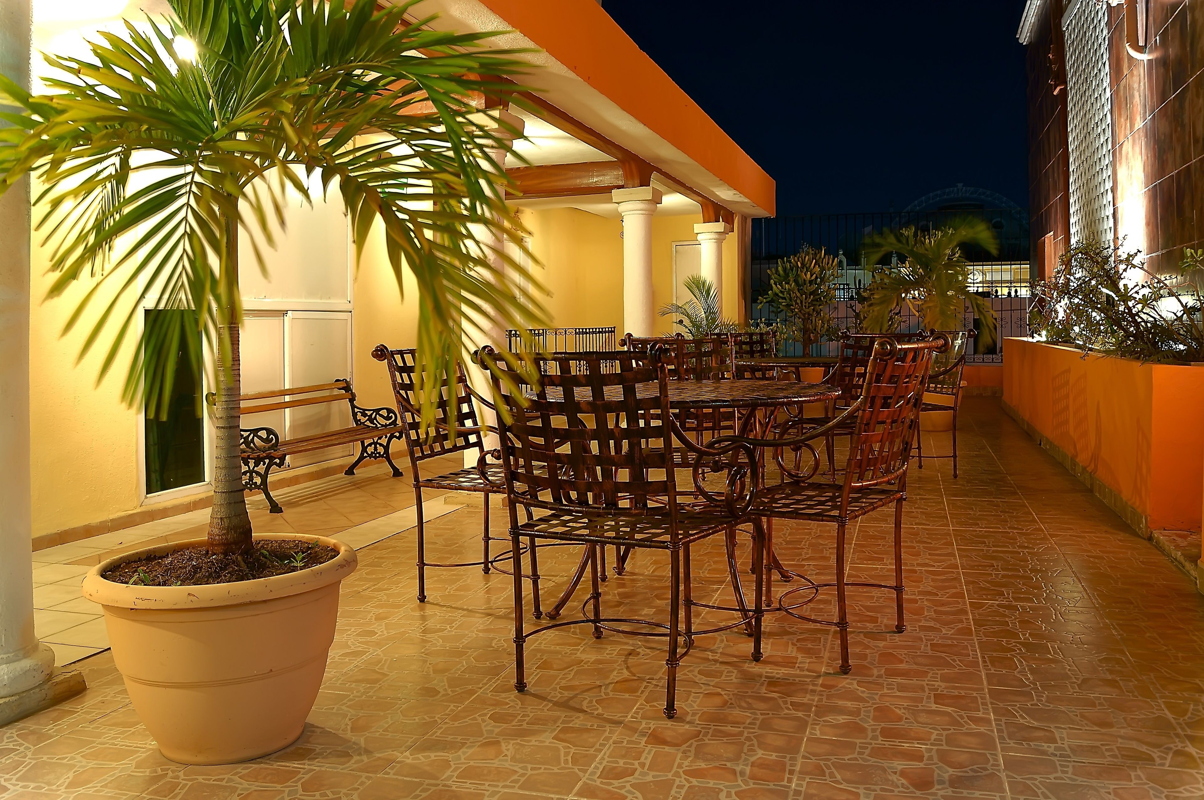 An outdoor patio with a dining area, including a large table and chairs, surrounded by potted plants and a palm tree.