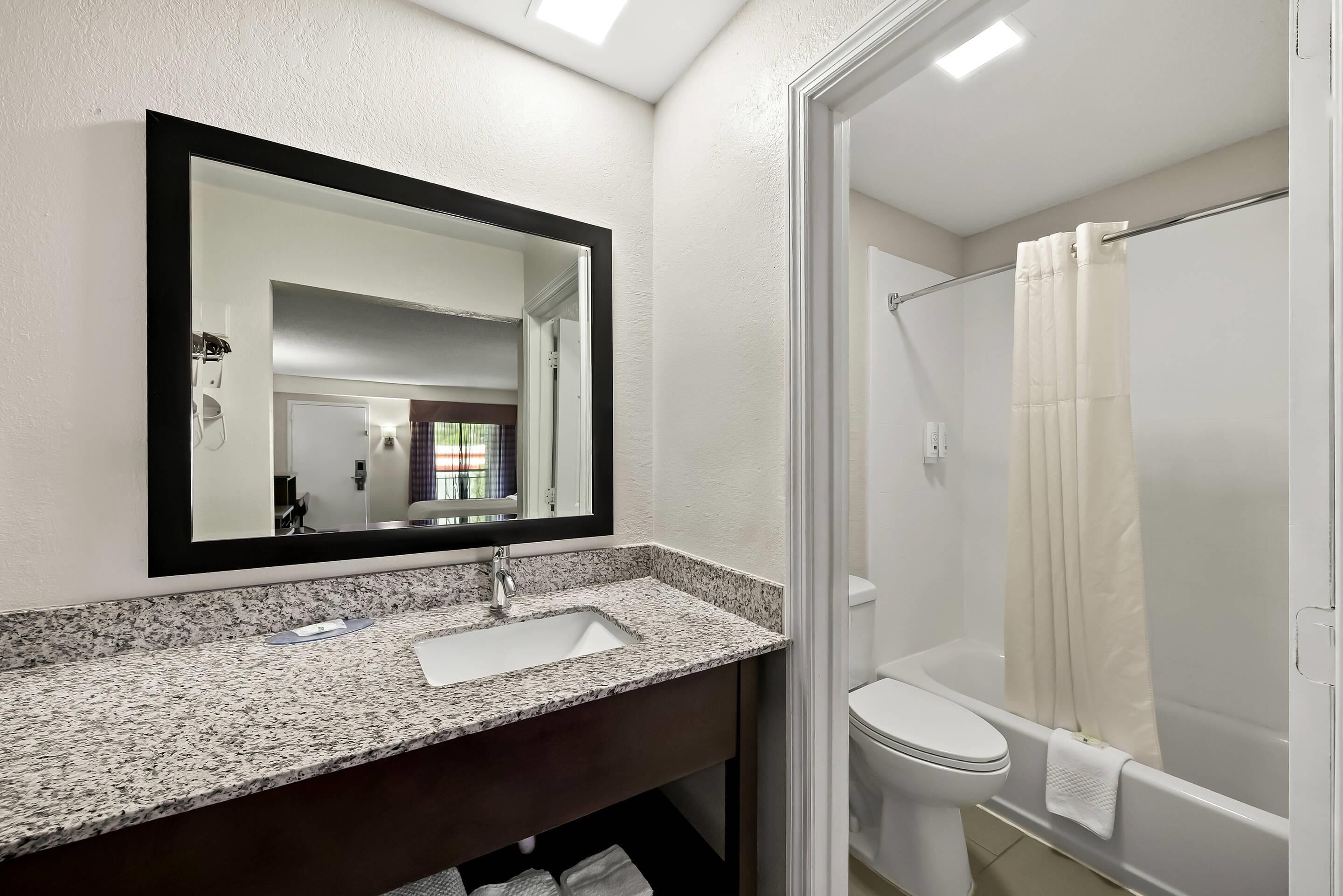 A bathroom with a granite countertop sink, a mirror, a toilet, and a shower with a curtain.