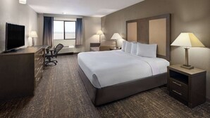 Habitación de hotel con una cama grande, dos mesitas de noche con lámparas, un escritorio con silla, un televisor y vistas al exterior.