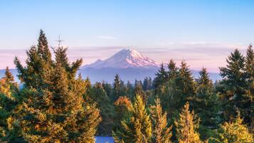 Premium Room, 2 Queen Beds, Balcony, Mountain View | View from room