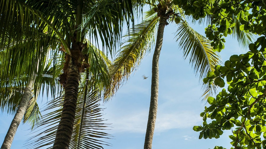 Cormier Plage Resort