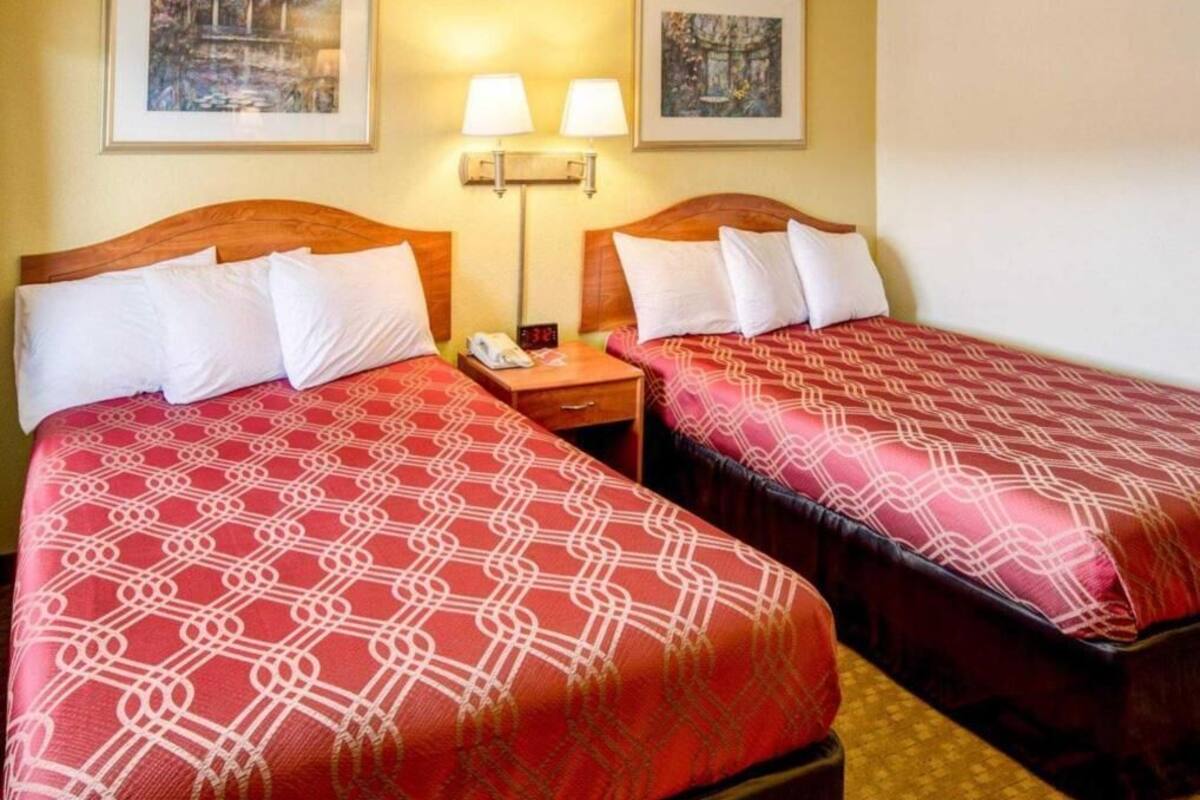 Two beds with patterned bedding, a nightstand with a phone, and two wall-mounted lamps.