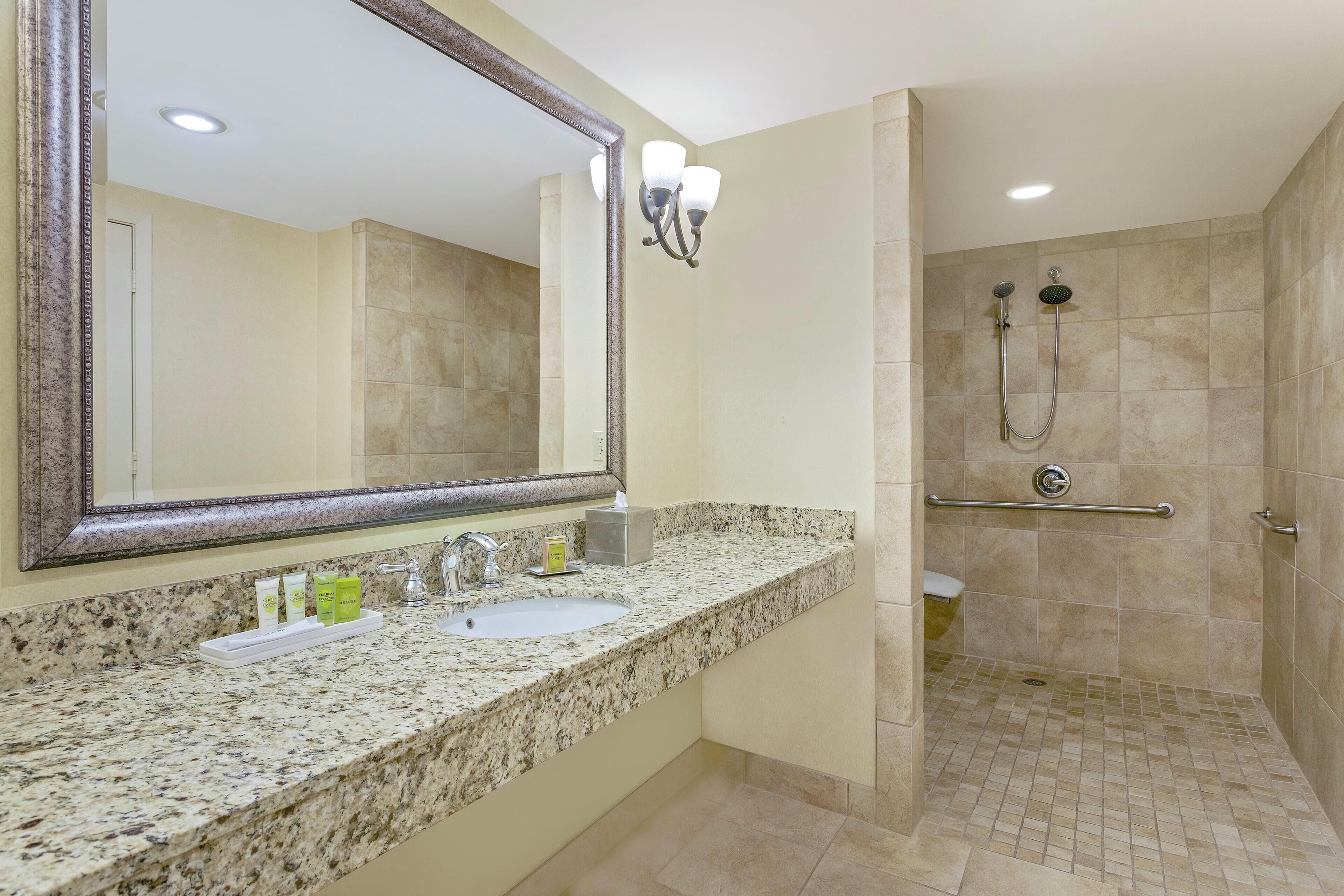 Suite, 1 King Bed, Accessible | Bathroom shower