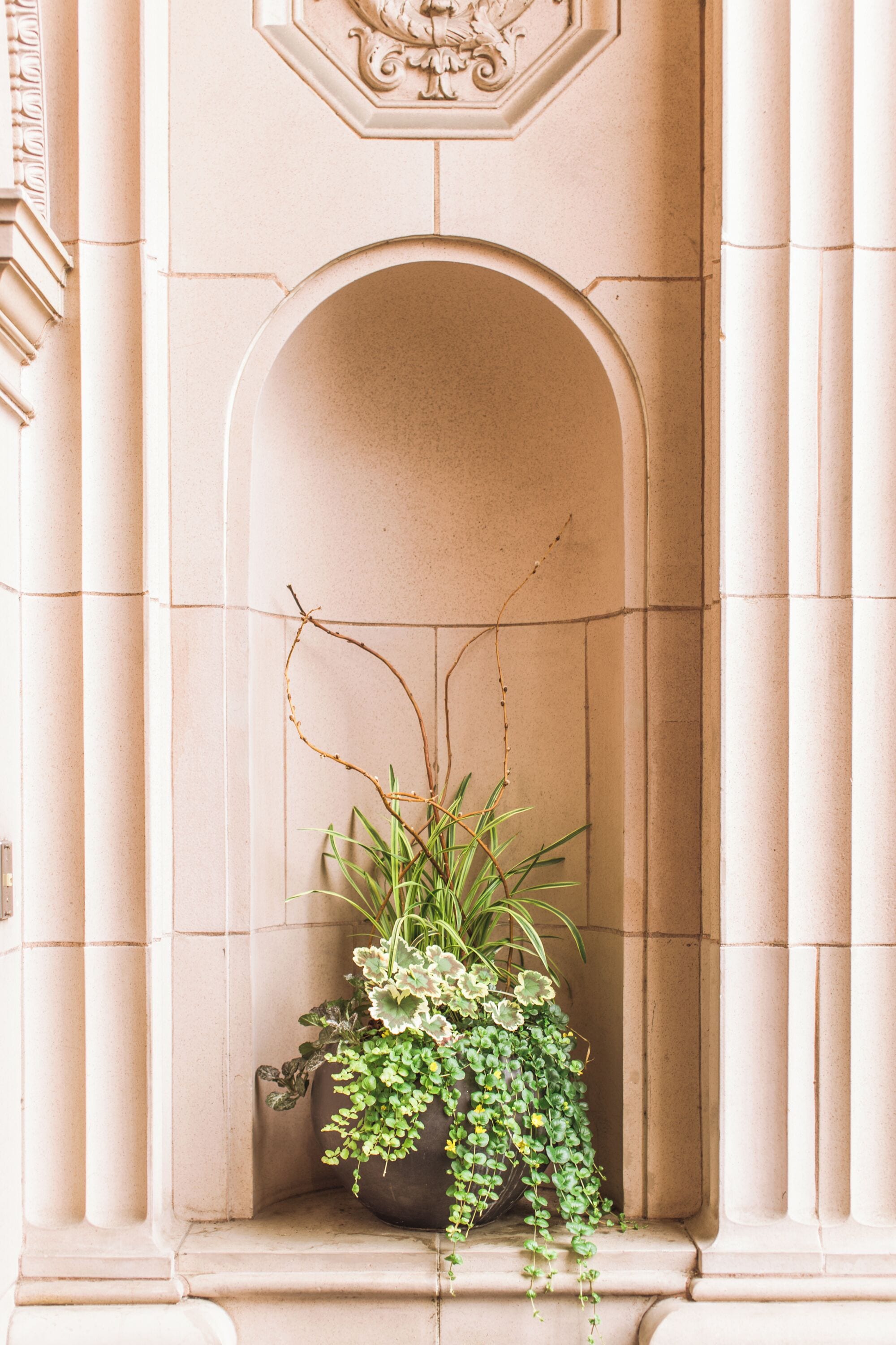 Photo - Sentinel Hotel