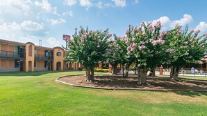 A hotel with a courtyard featuring trees with pink flowers, a clear blue sky, and a signboard. - Red Roof Inn Forsyth (Forsyth)