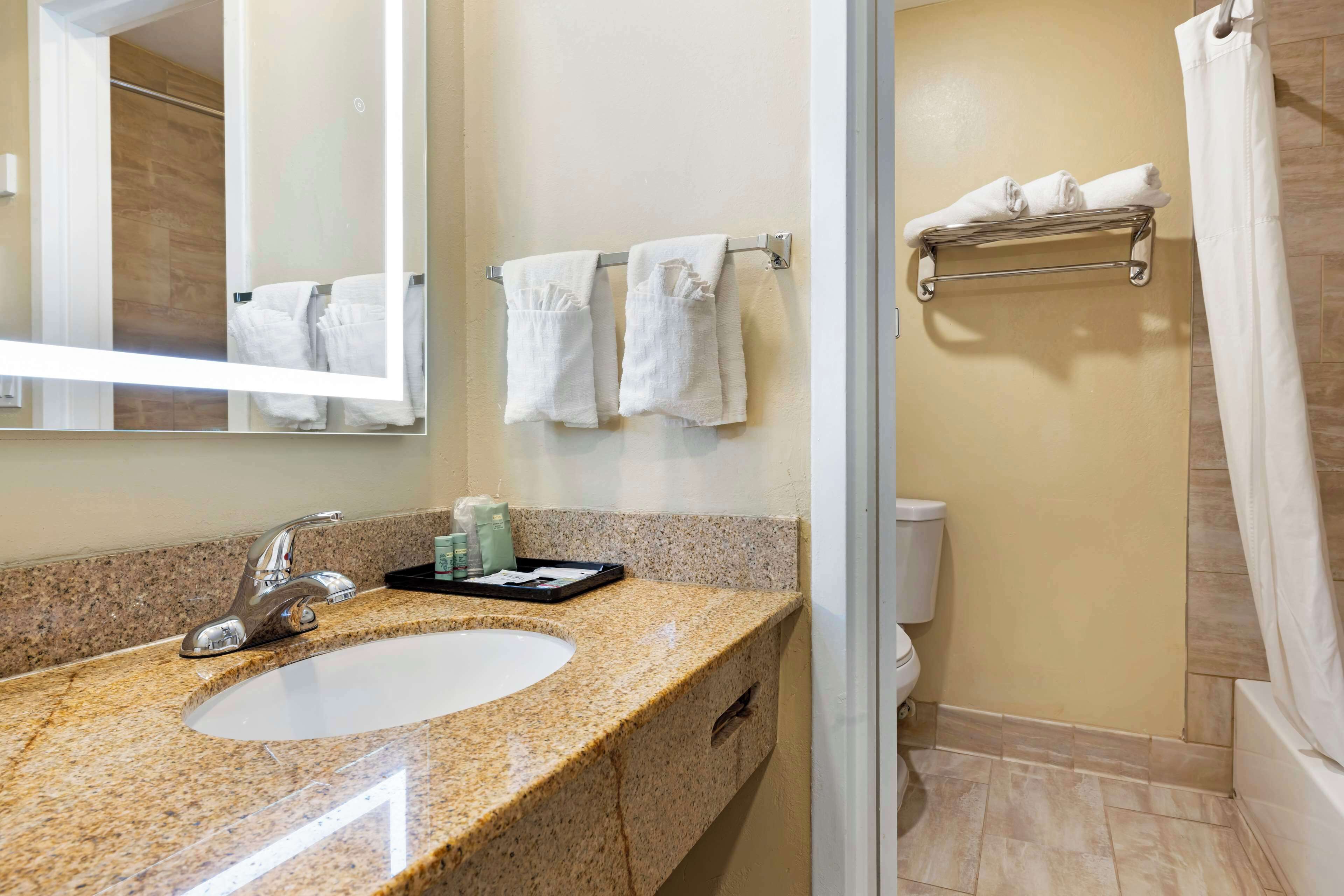 combined shower/bathtub, free toiletries, hair dryer, towels