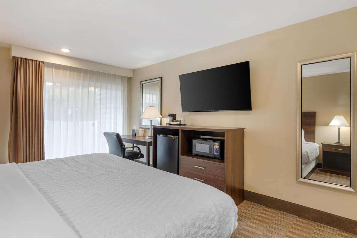 Standard Room, 1 King Bed, Accessible, Refrigerator & Microwave