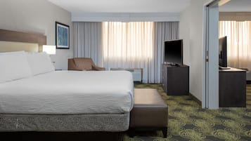 Una habitación de hotel con una cama grande, una silla, un televisor y un escritorio.