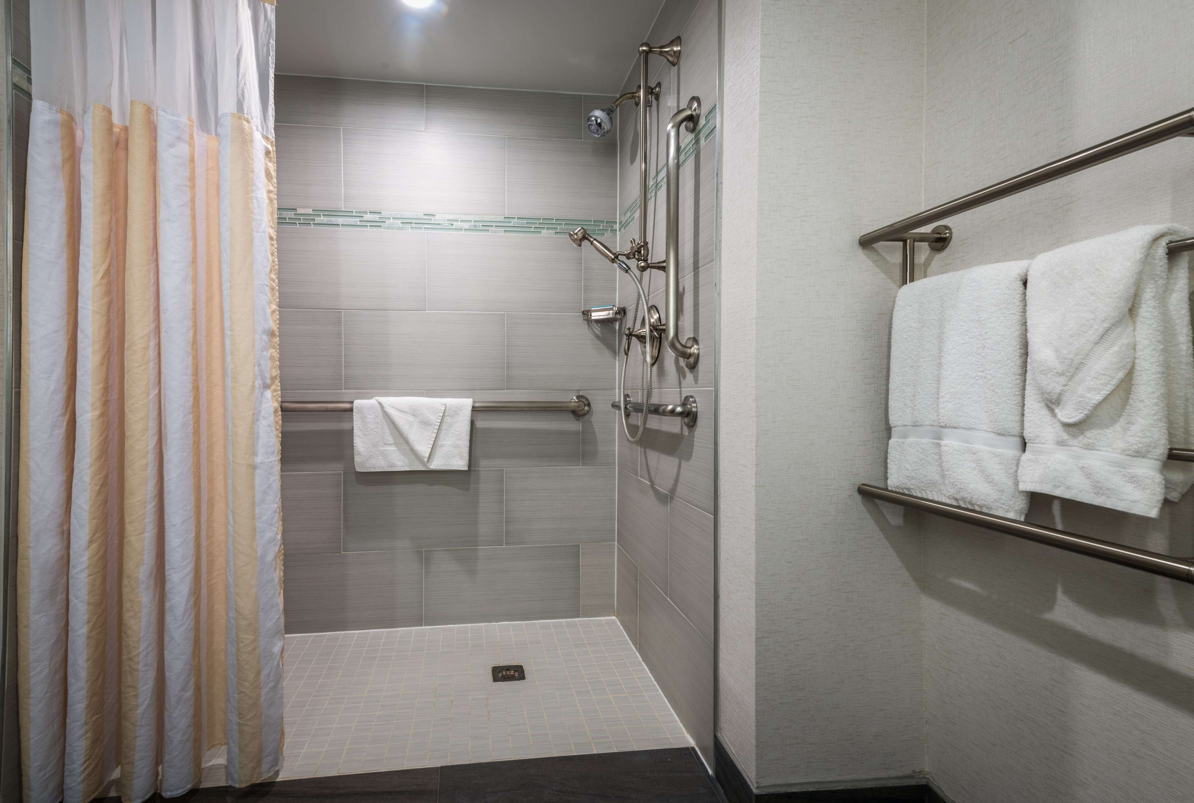 room, 1 queen bed, accessible, non smoking (mob/hearing acc w/ roll-in shower) | bathroom shower