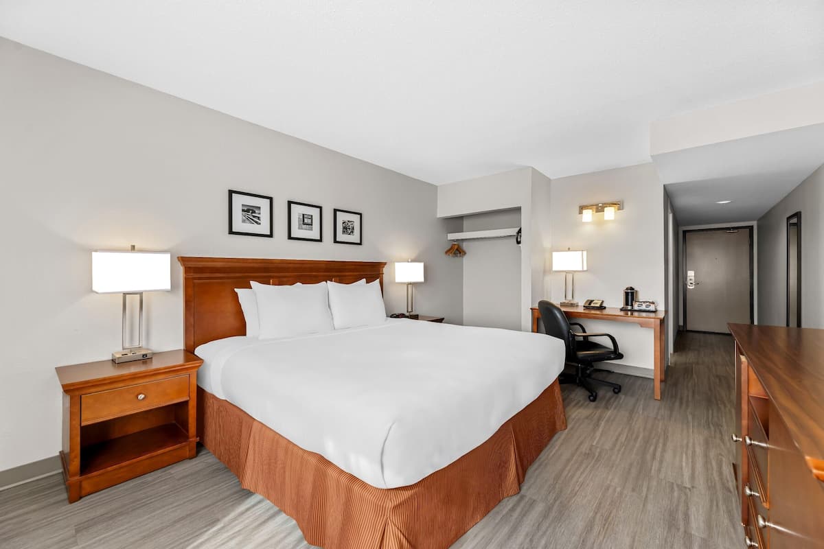 Room, 1 King Bed, Non Smoking | Desk, laptop workspace, blackout curtains, iron/ironing board