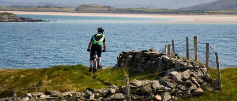 A coastal view with a cyclist on a path, a beach, and distant mountains.