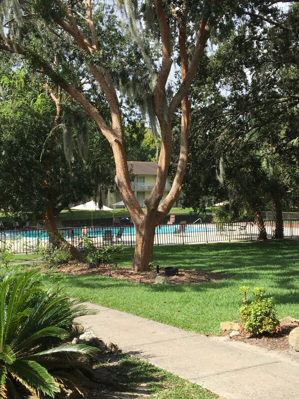 Alberca al aire libre