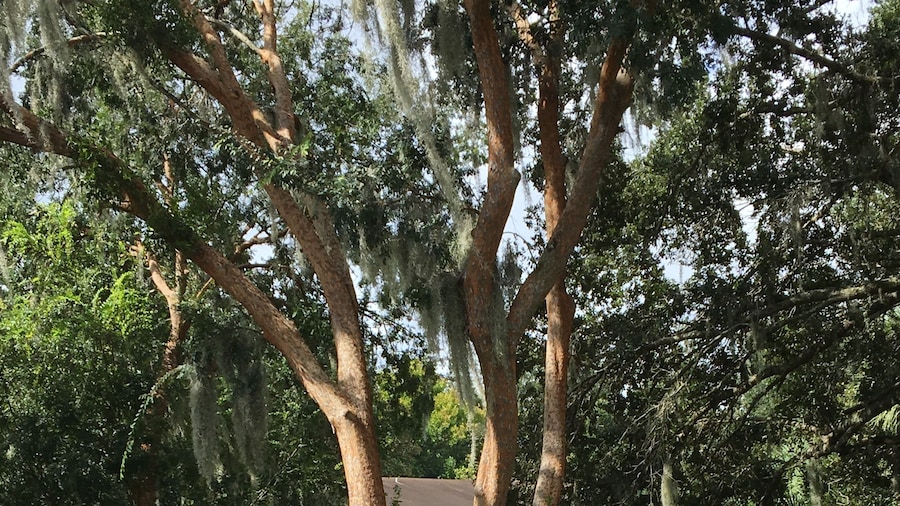 Studio 6 Ocala, FL